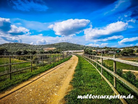 Radweg Via Verde Mallorca