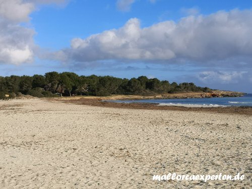 Sa Coma auf Mallorca ️ traumhafte Kulisse am Sandstrand